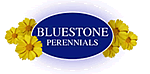 Bluestone Perennials