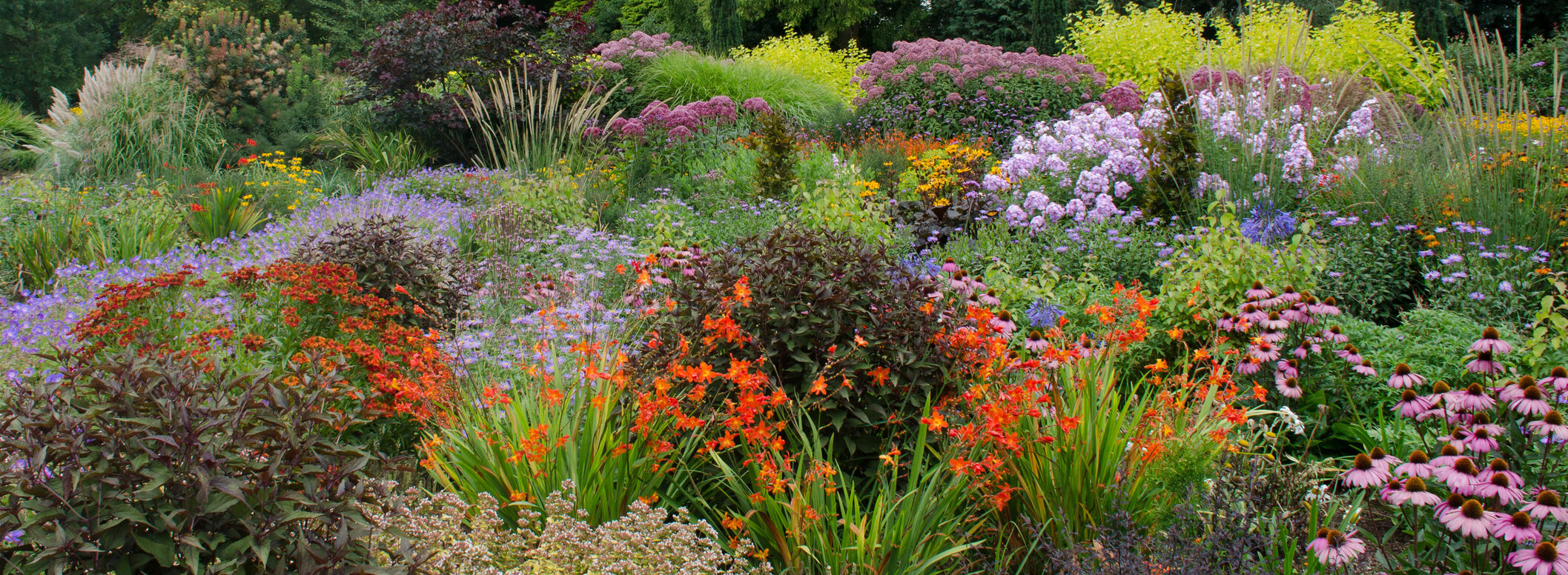 Bluestone: Amazing Plant Selection in Eco Friendly Plantable Pots ...